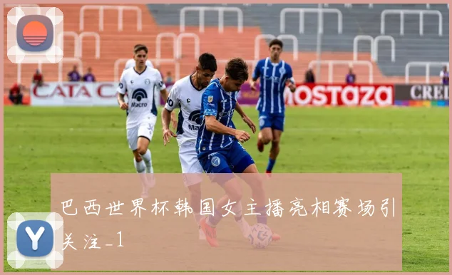 巴西世界杯韩国女主播亮相赛场引关注_1